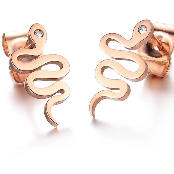 Jewelry - 🐍 Earrings